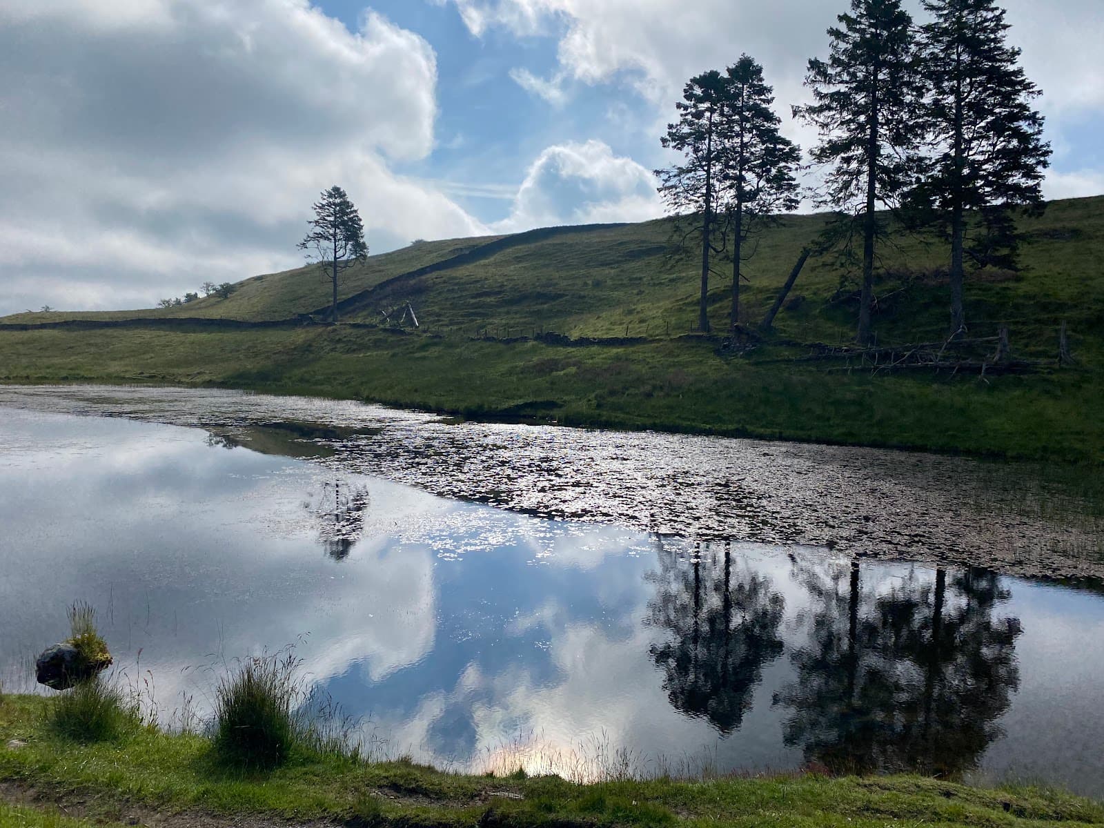 School Knott - Image 1