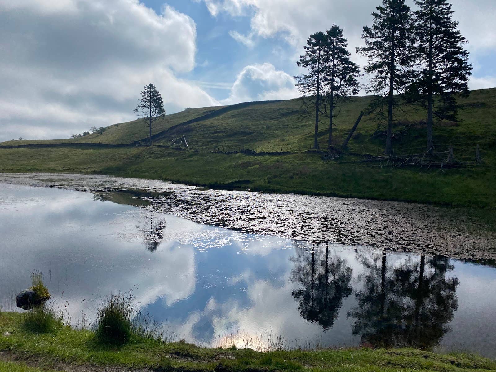 Habitat Creation Project