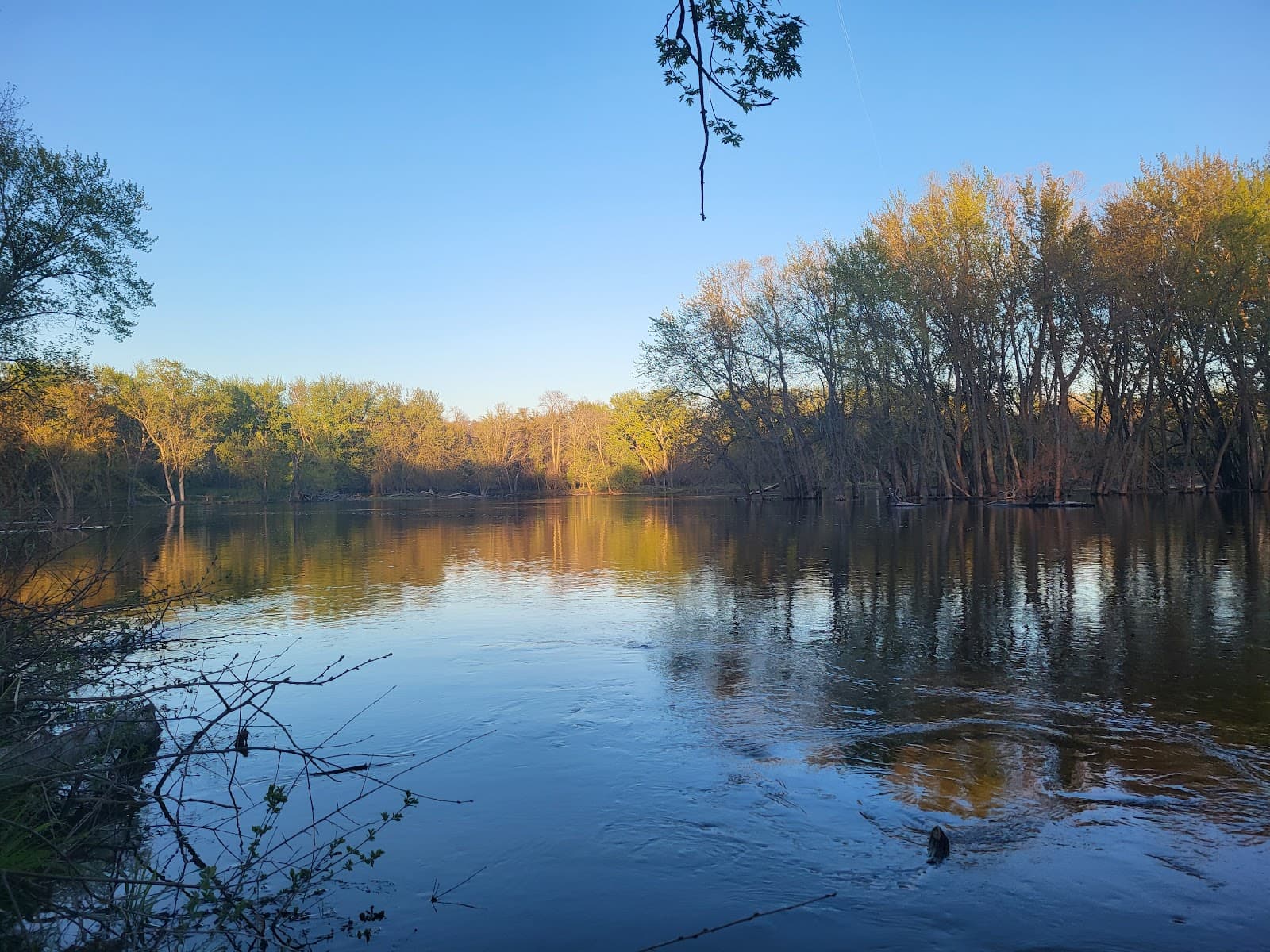 Bailey Point Nature Preserve - Image 1