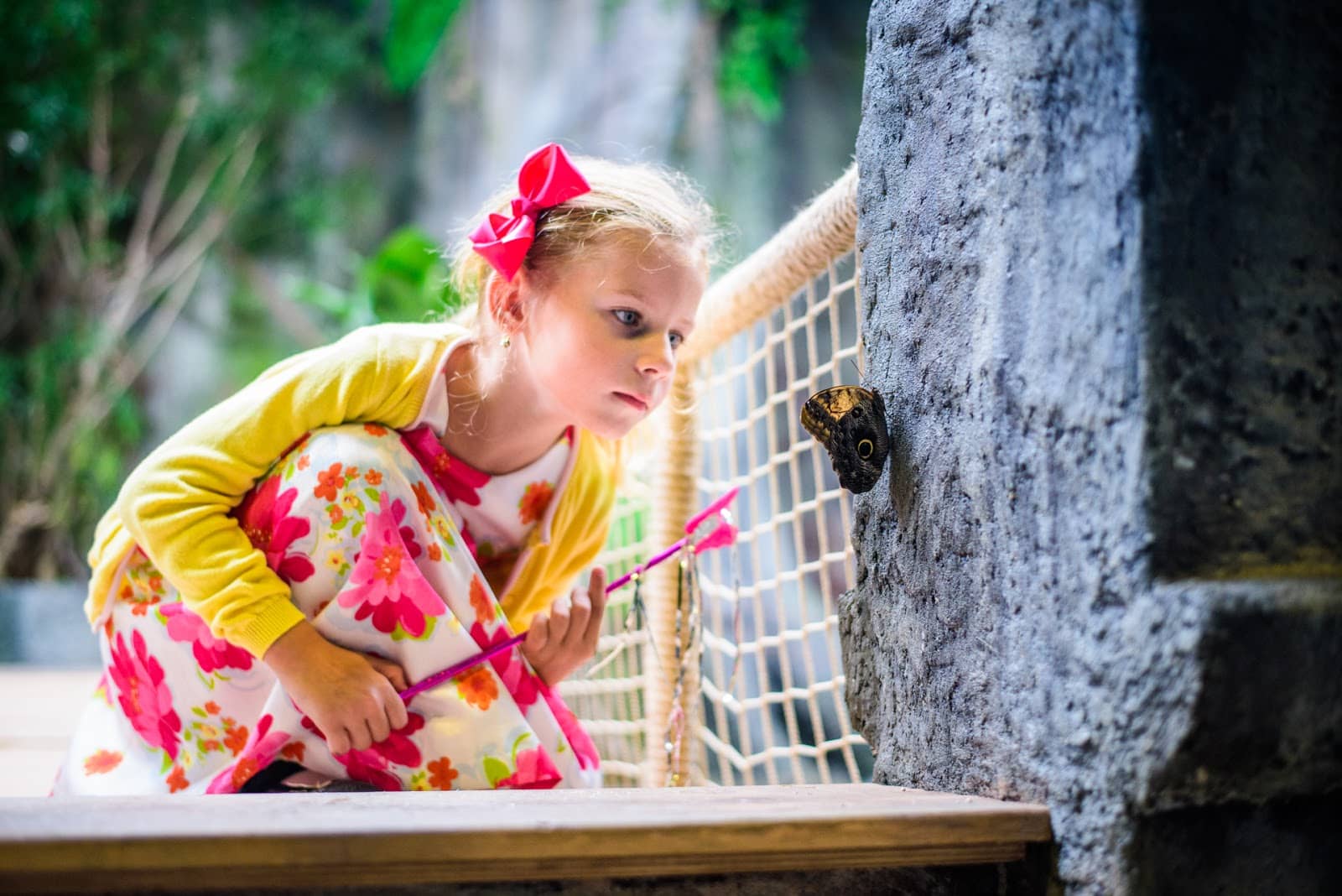 Tropical Indoor Oasis