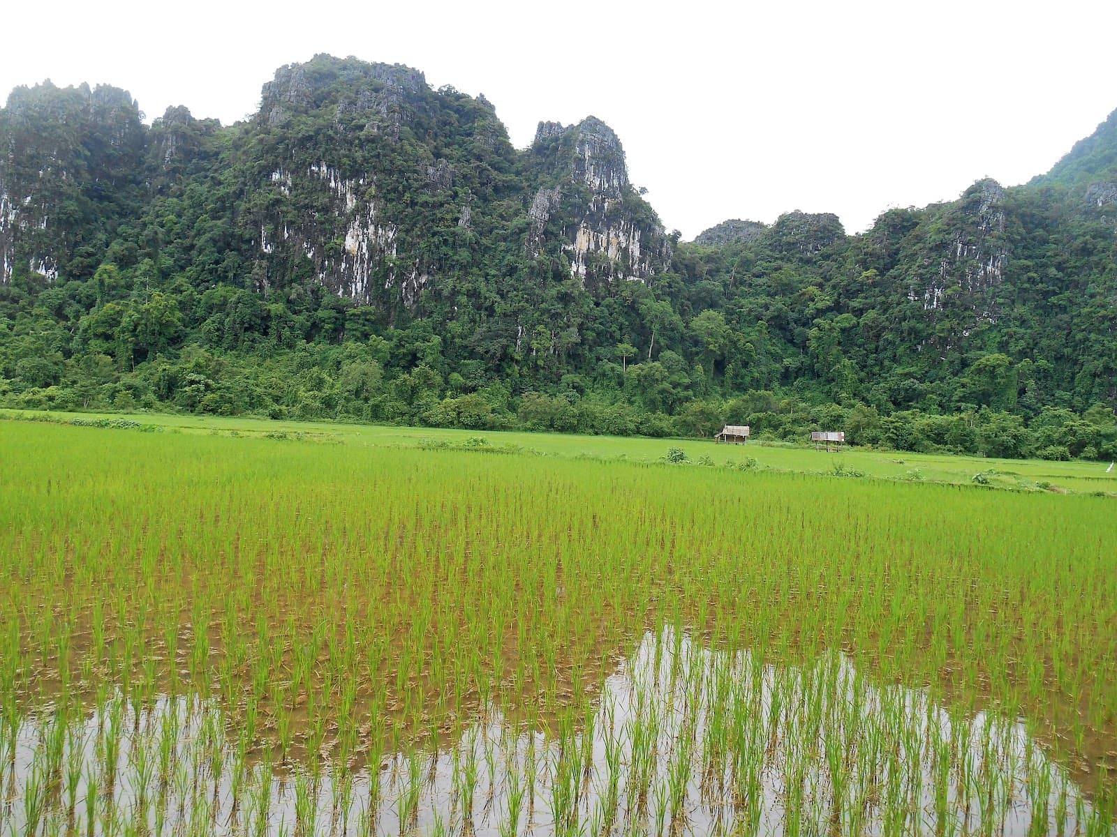 Tham Lusi - Image 1
