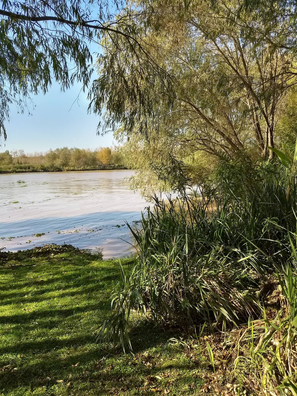 Delta Scenery & Wildlife