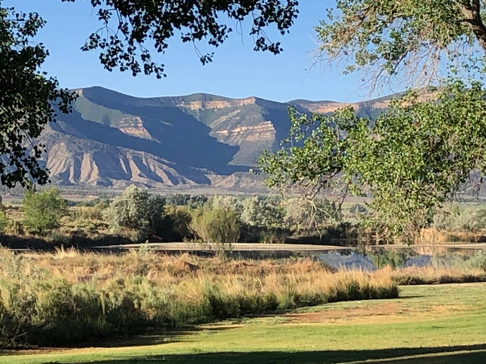 Children's Playground