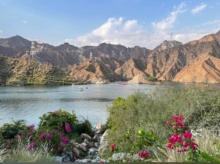 Kayaking & Pedal Boats