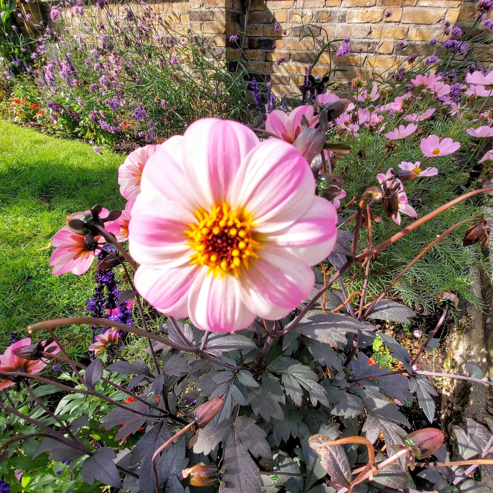 Bayle Pond - Image 1