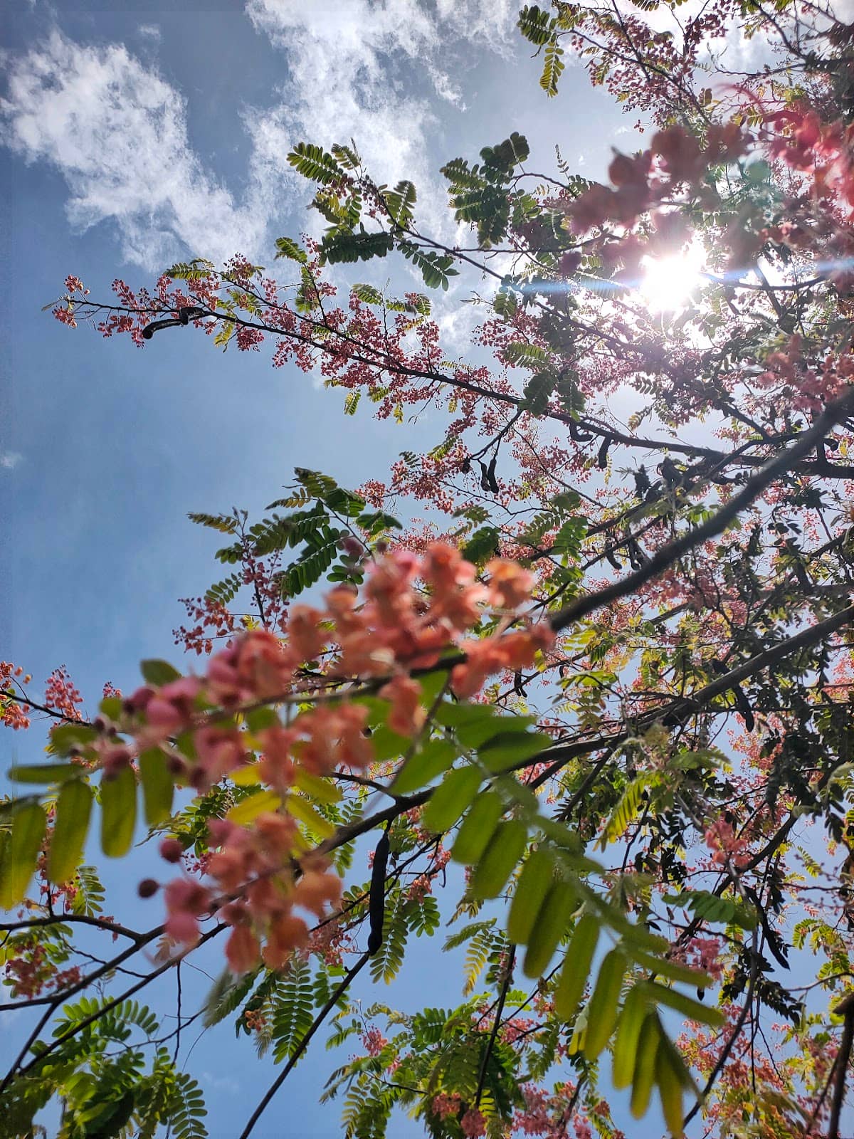 Vertical photo