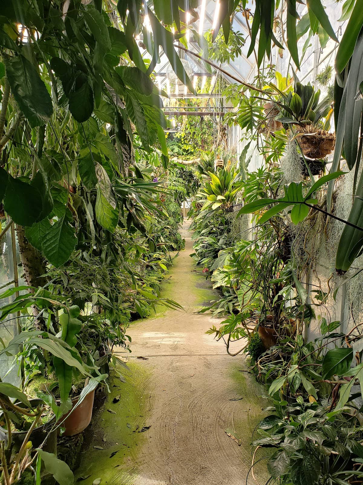 Diverse Plant Varieties