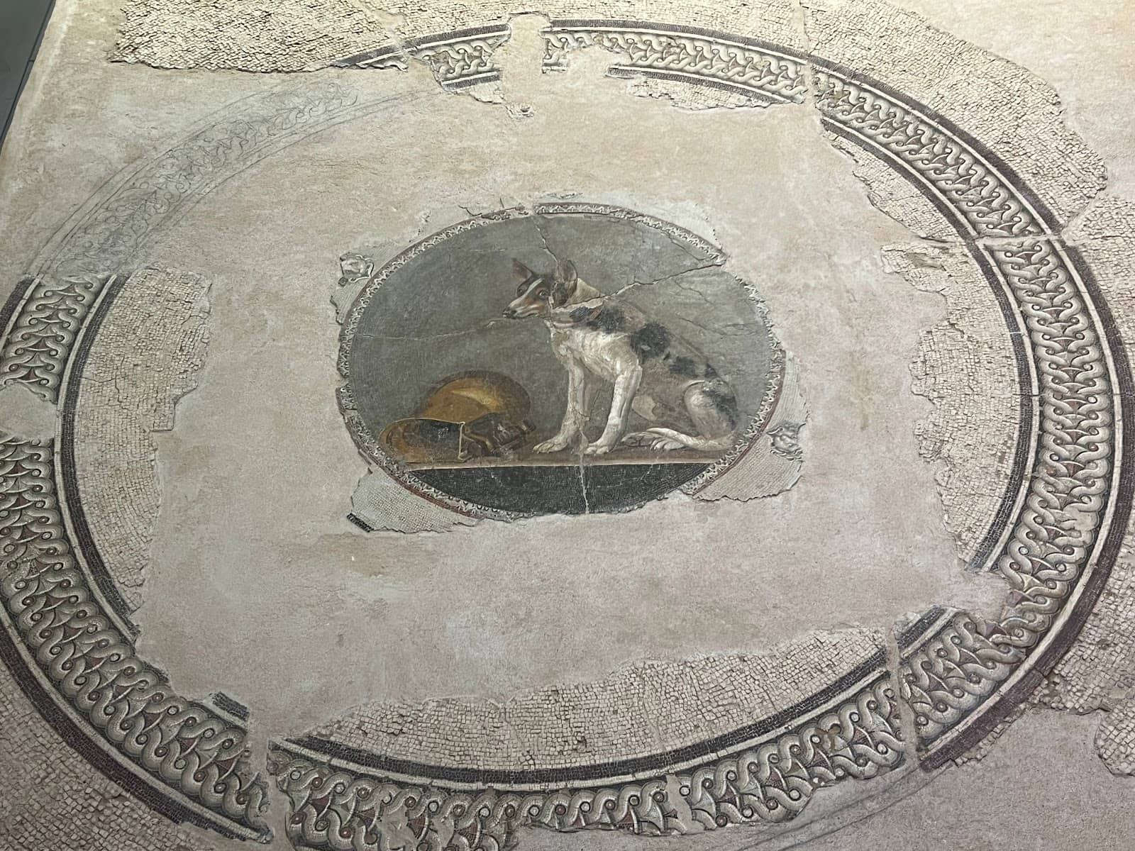 Sunken City Discoveries