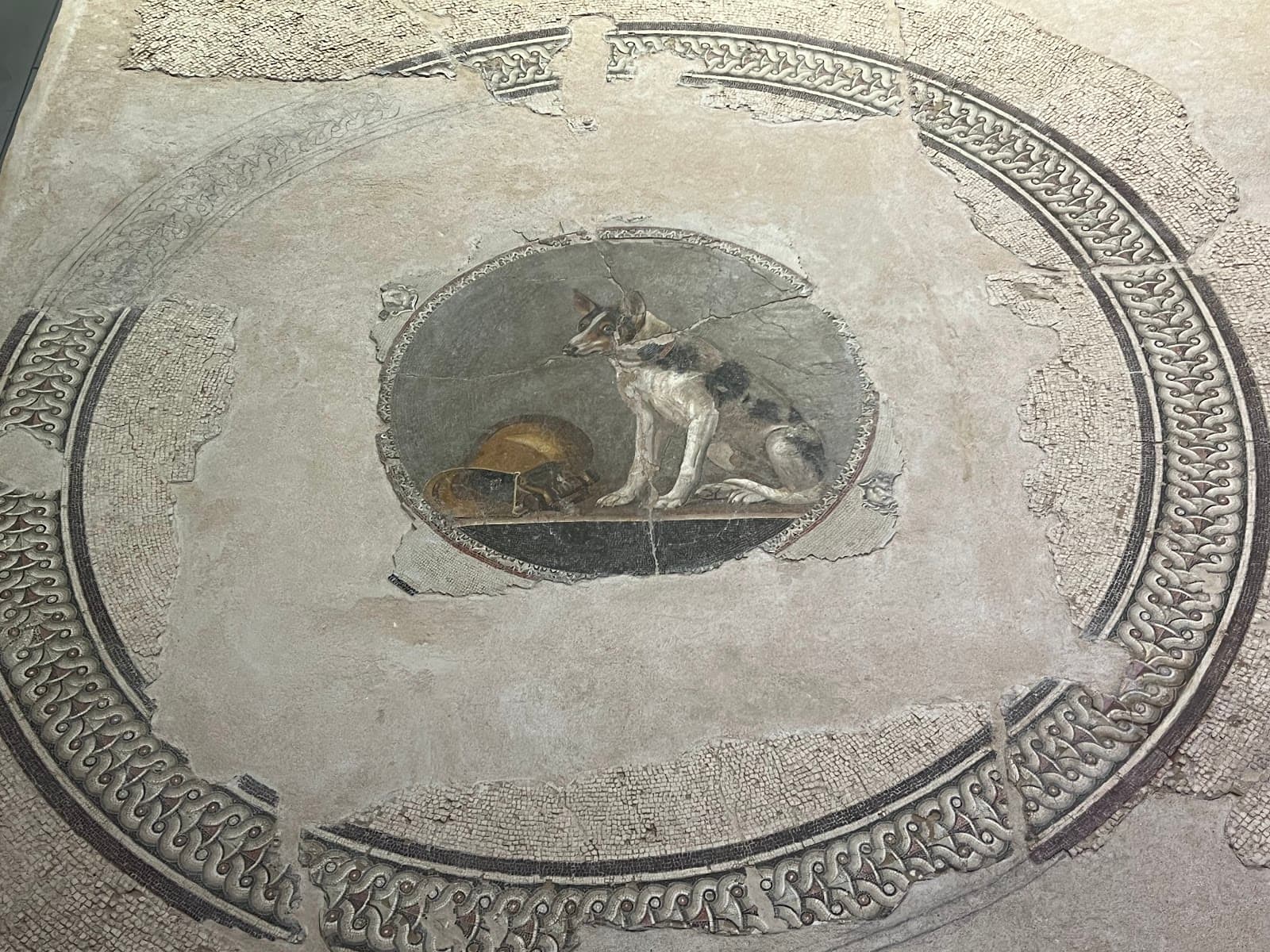 Bibliotheca Antiquities Museum - Image 1