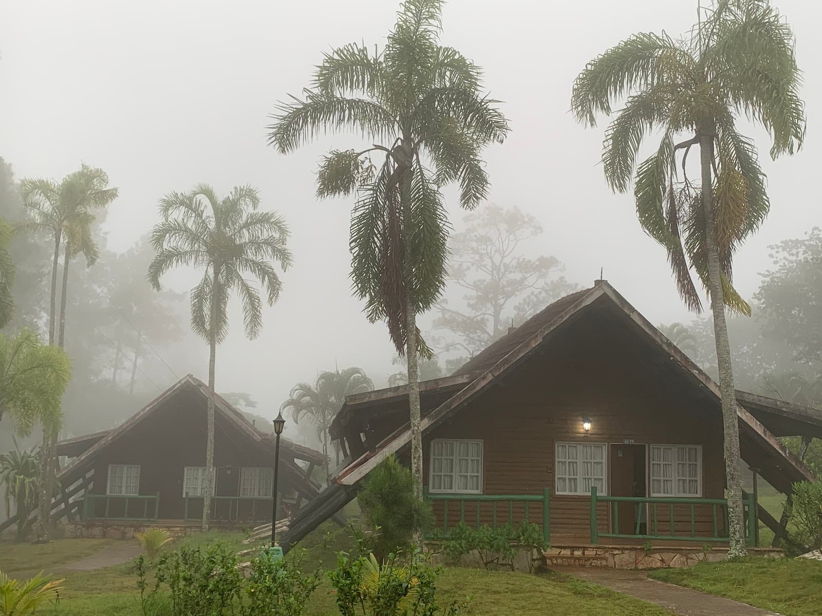 Pinares de Mayarí - Image 1