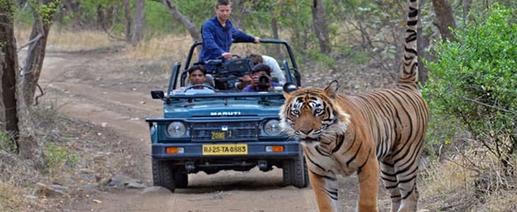 Dhikala Forest Lodge Jim Corbett National Park - Image 1