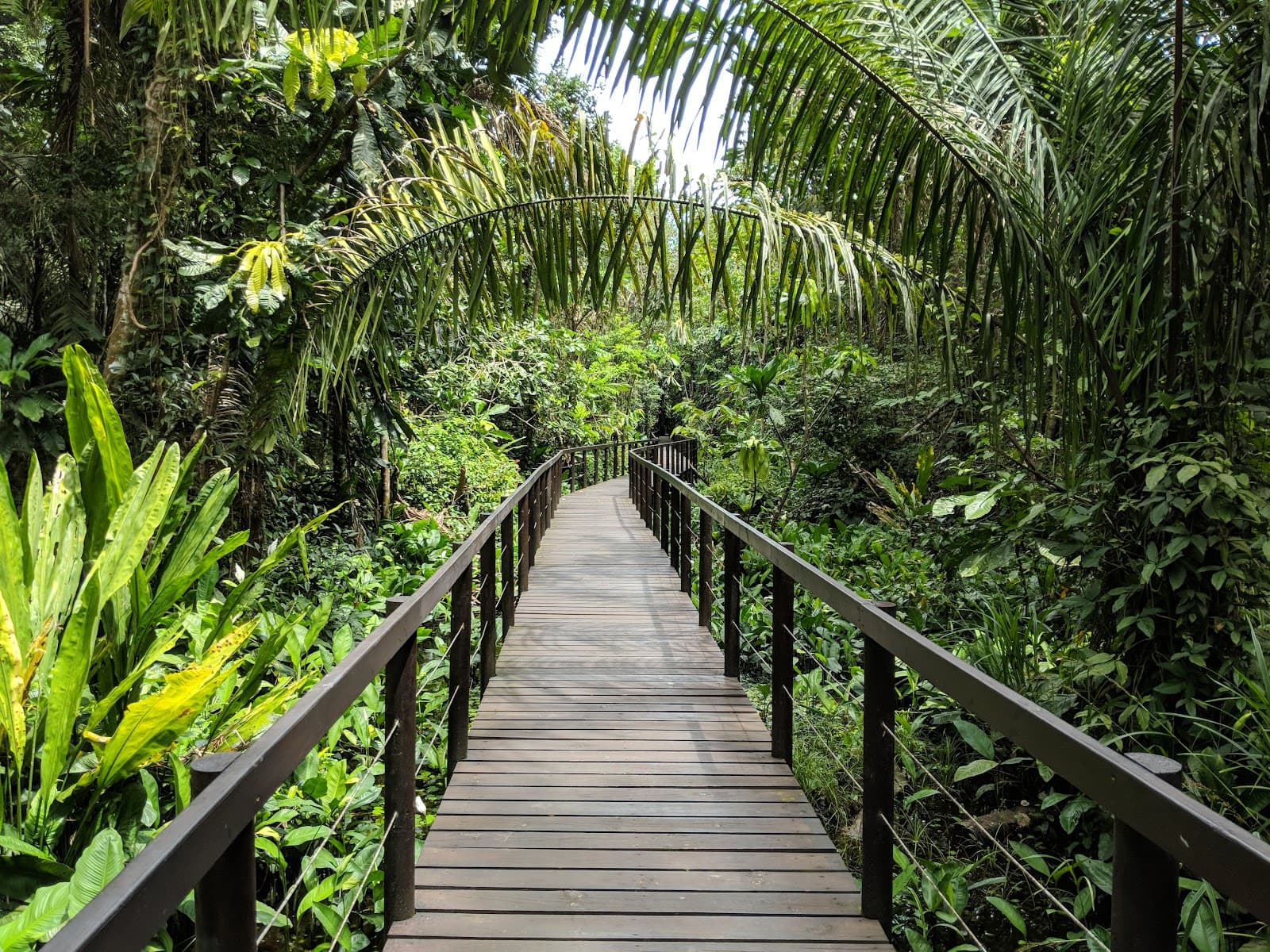 Puerto Vargas Sector (Cahuita NP) - Image 1