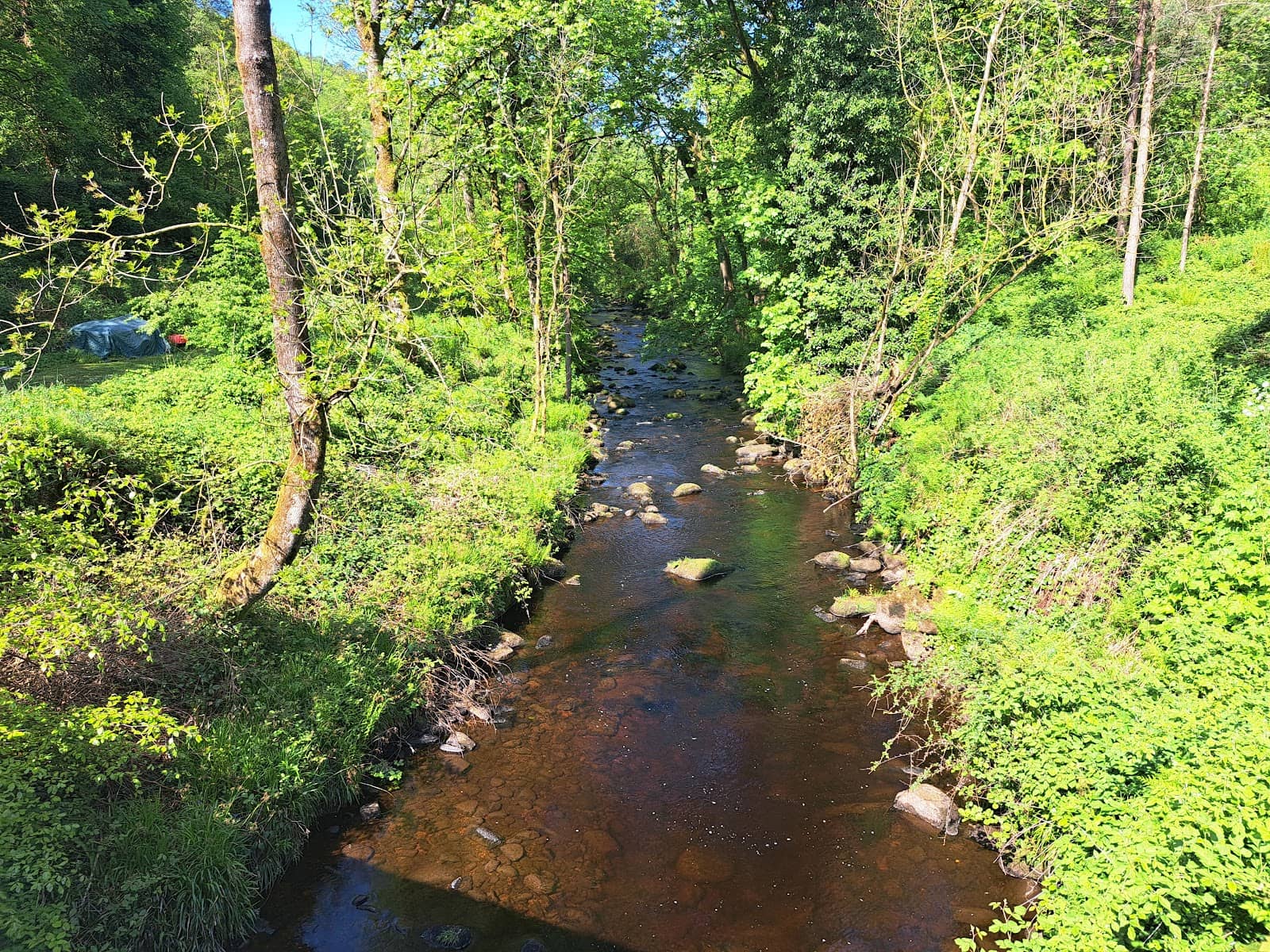 Vertical photo