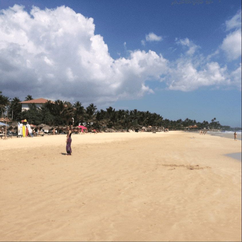 Surf Breaks for All Levels