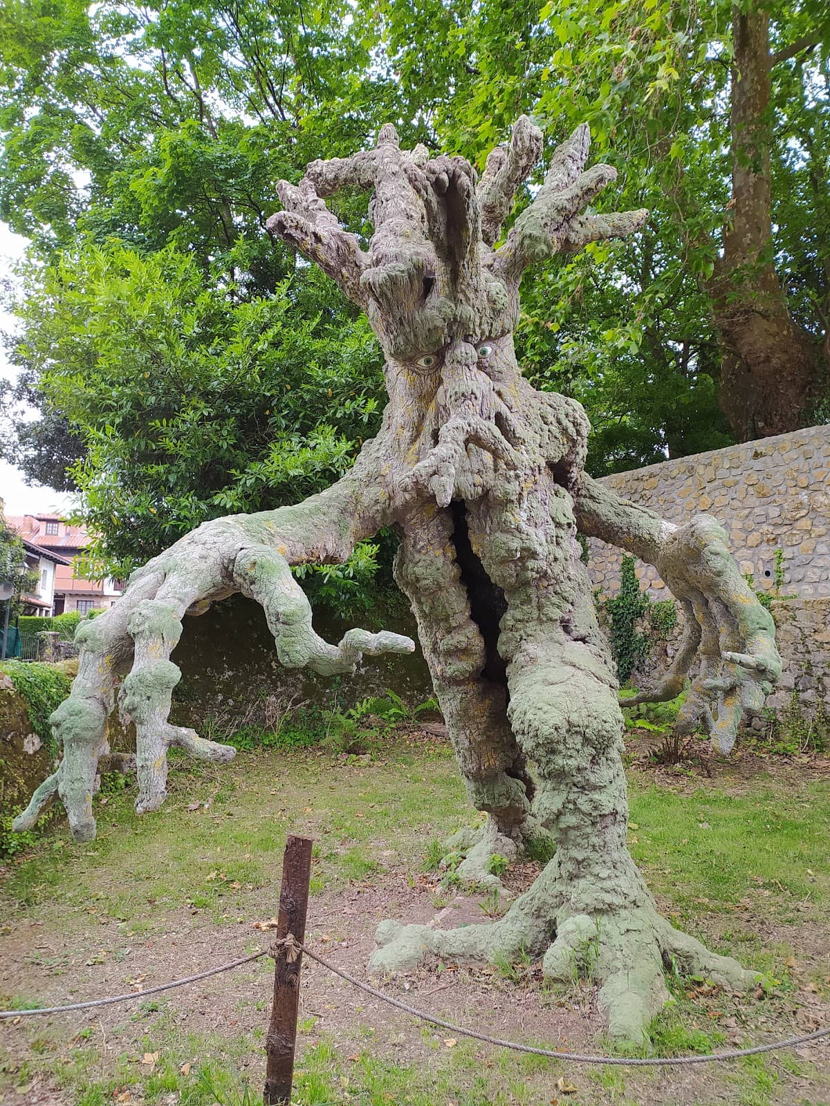 Children's Play Area