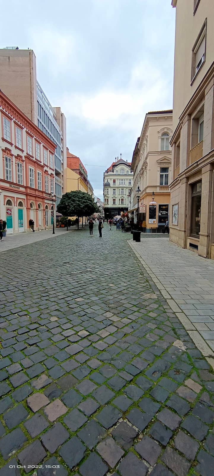 Alternative Music Scene