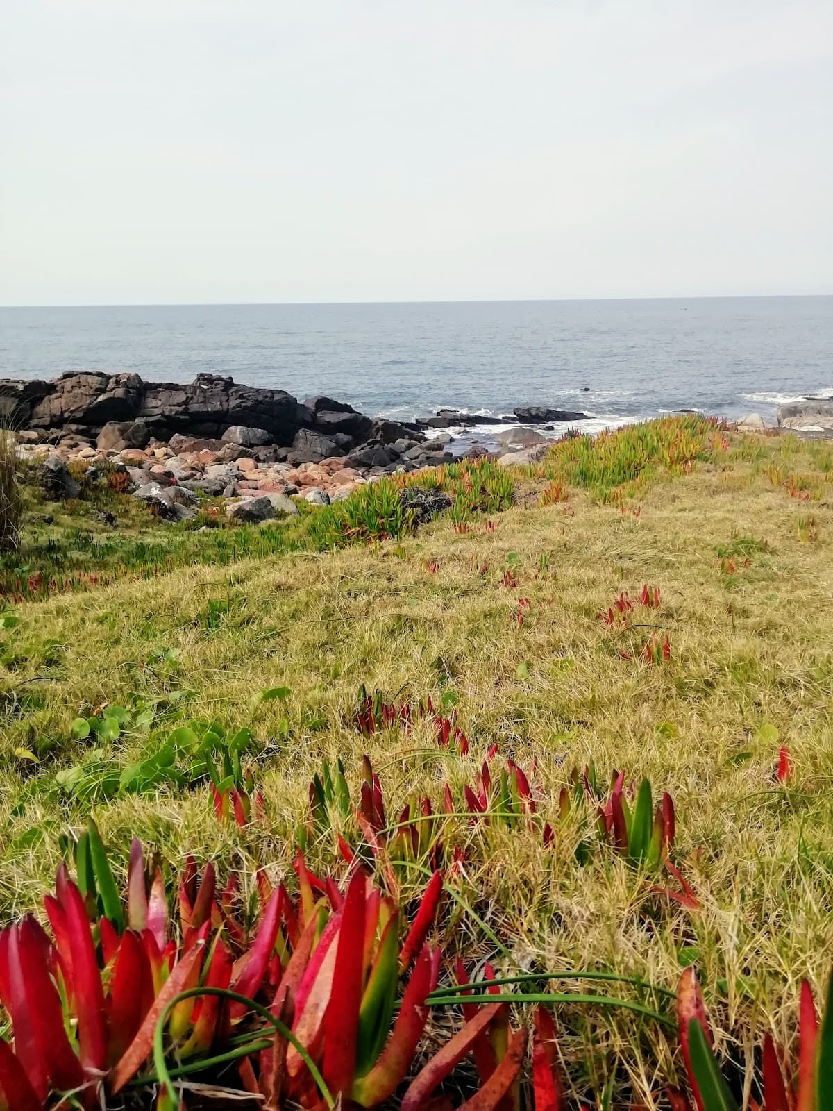 Punta Colorada - Image 1