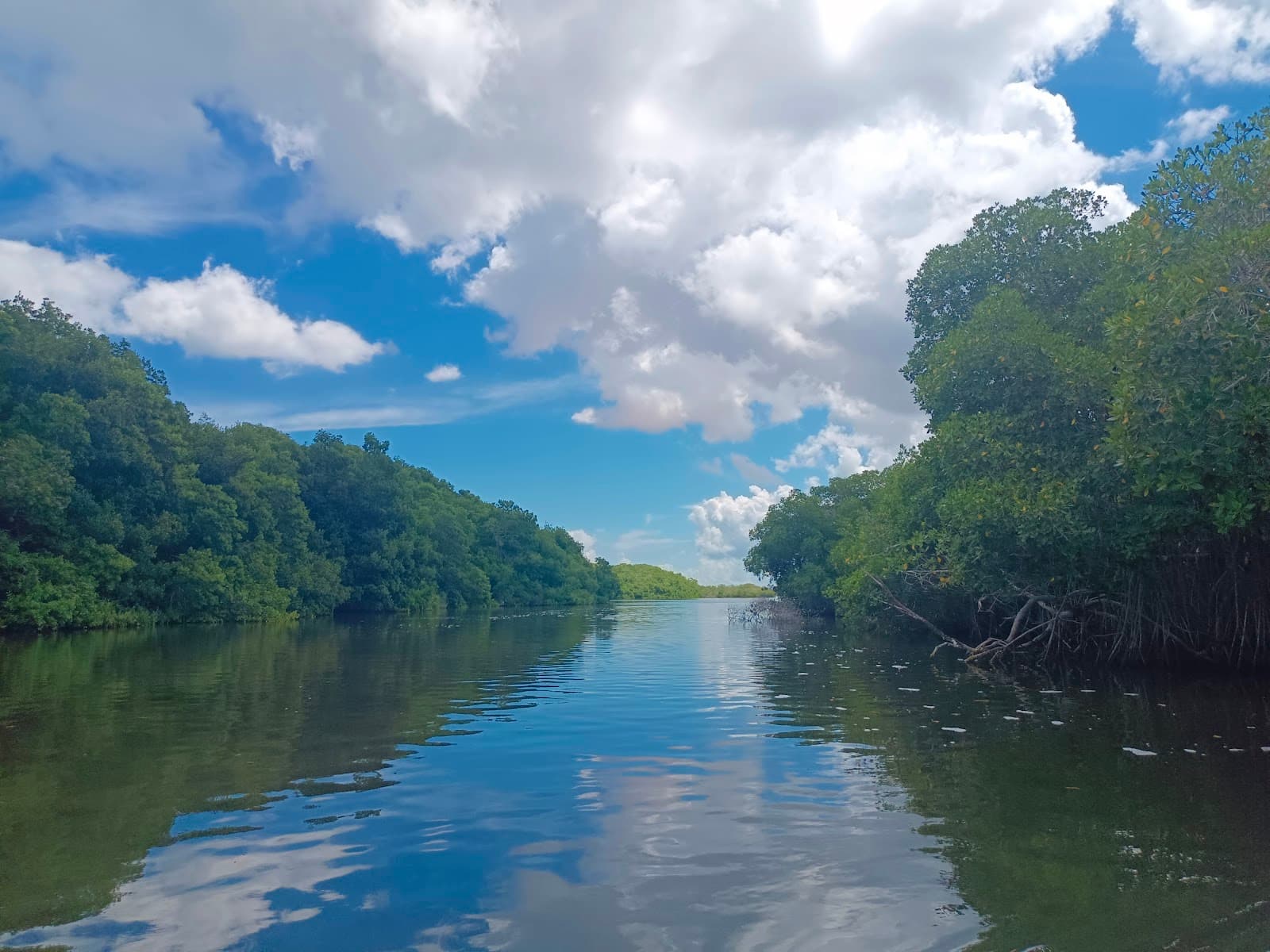 Rio Lagartos Biosphere Reserve - Image 1