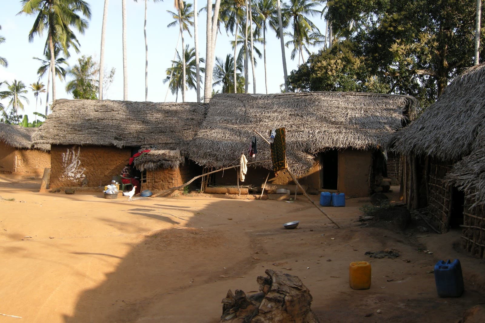 Kiwengwa-Pongwe Forest Reserve - Image 1