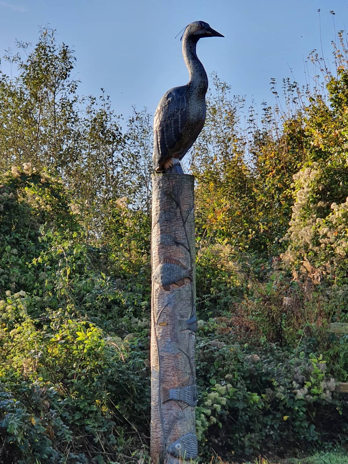 Vertical photo