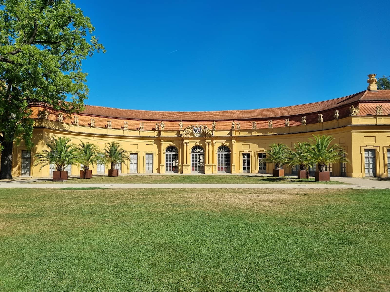 Fountain and Old Trees