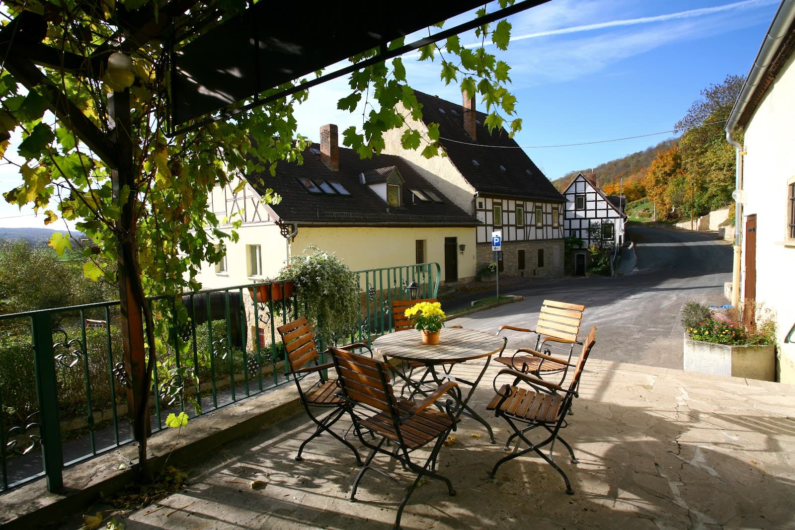 Saalhäuser Vineyard Terraces - Image 1