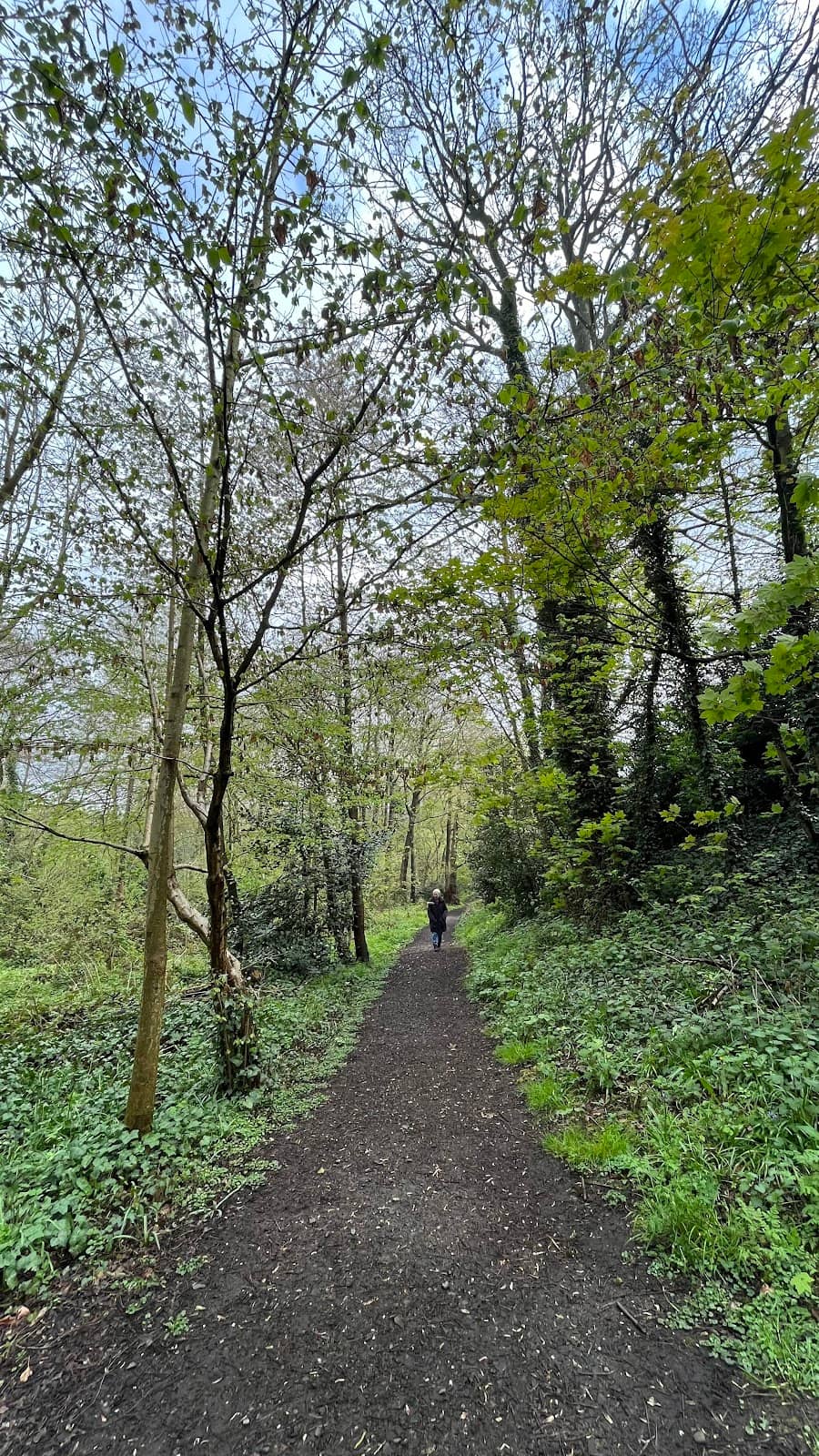 Scenic Nature Walks