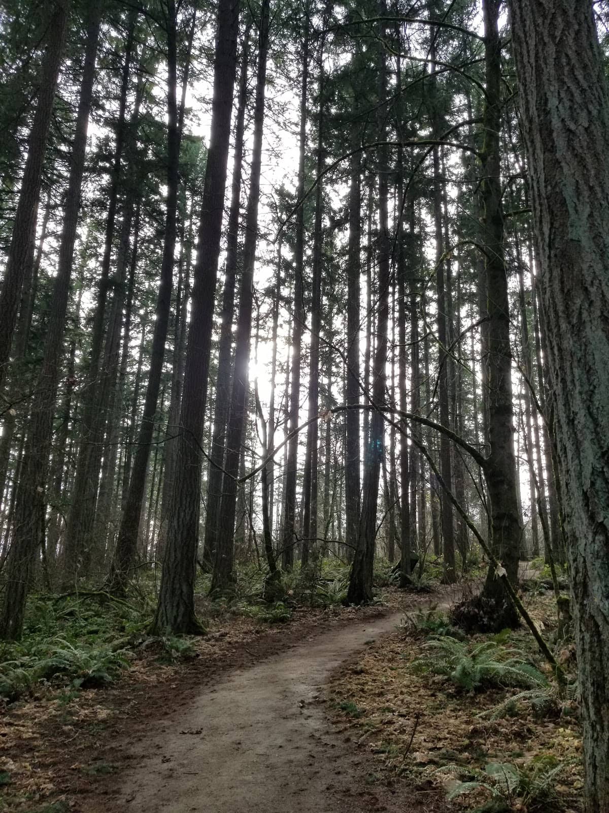 Nature Play Area