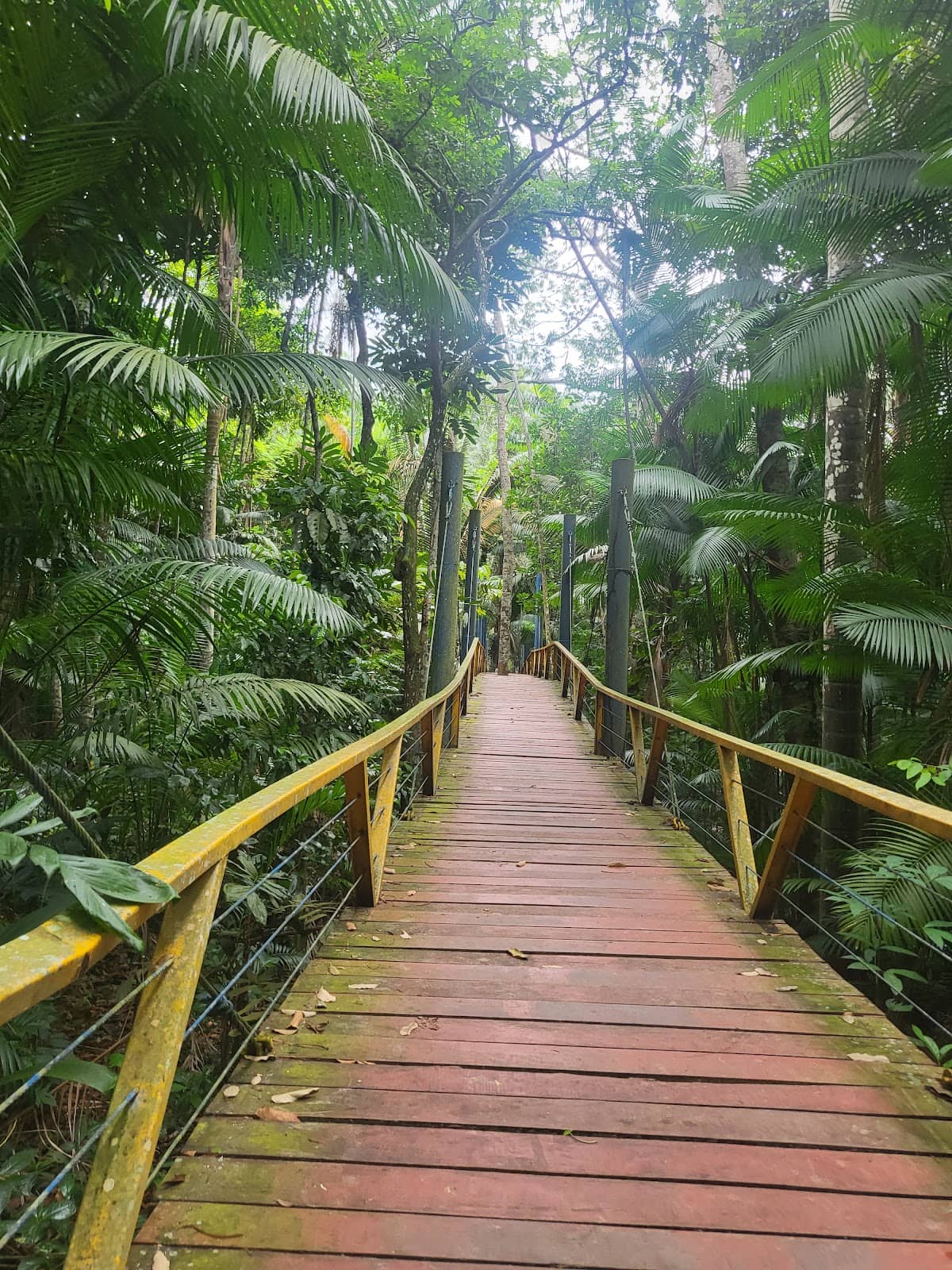 Amphitheater & Library
