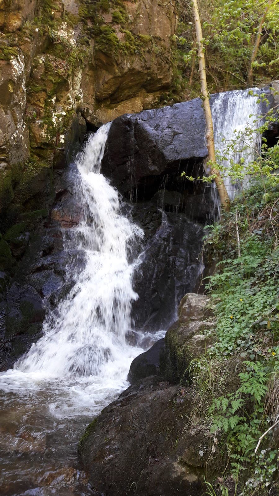 Gorges d'Enval - Image 1