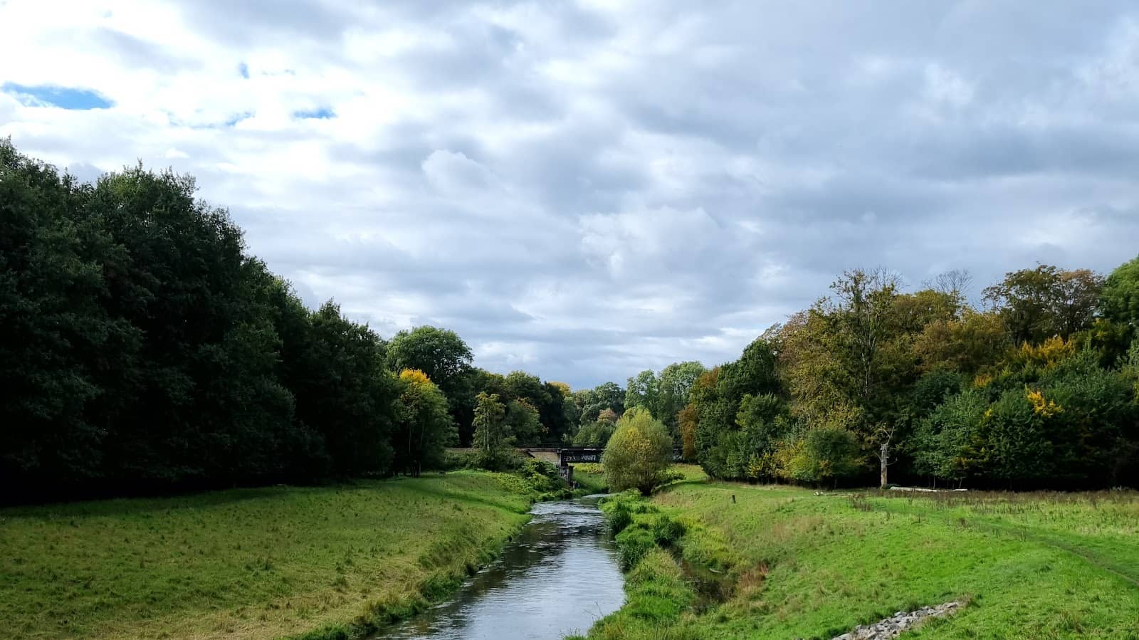 Passionate Fan Chants