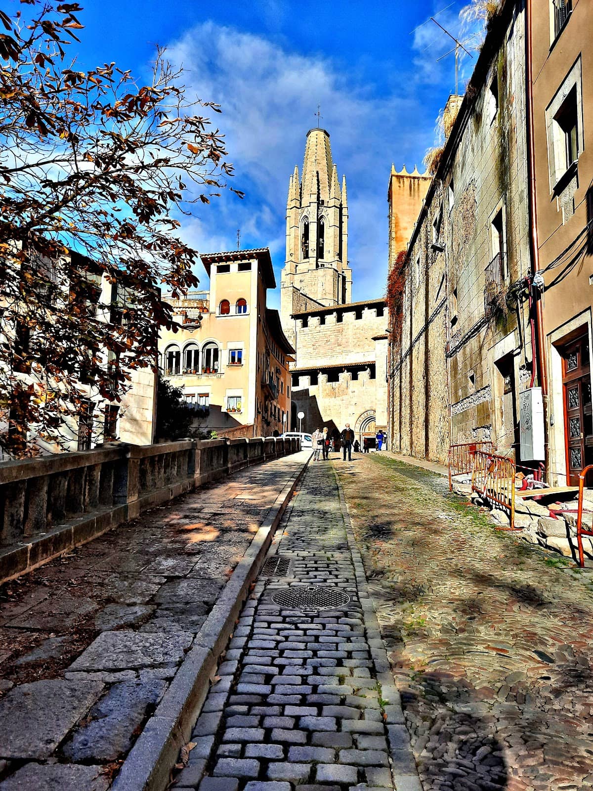 Vertical photo