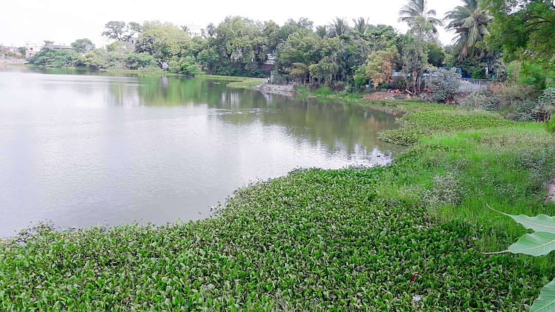 Ferry Ride to Chorao Island