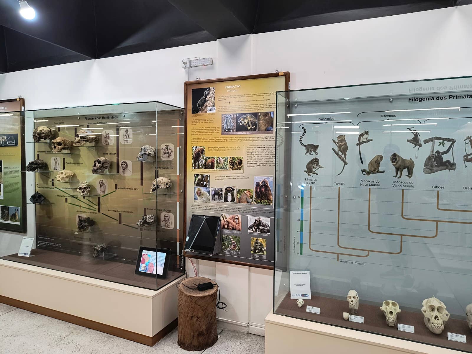 Biodiversity Exhibits
