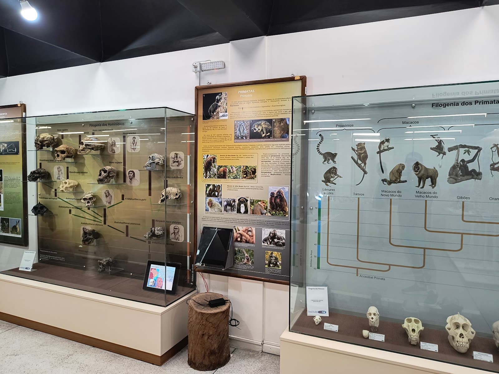 Museu de Ciencias Naturais - Image 1