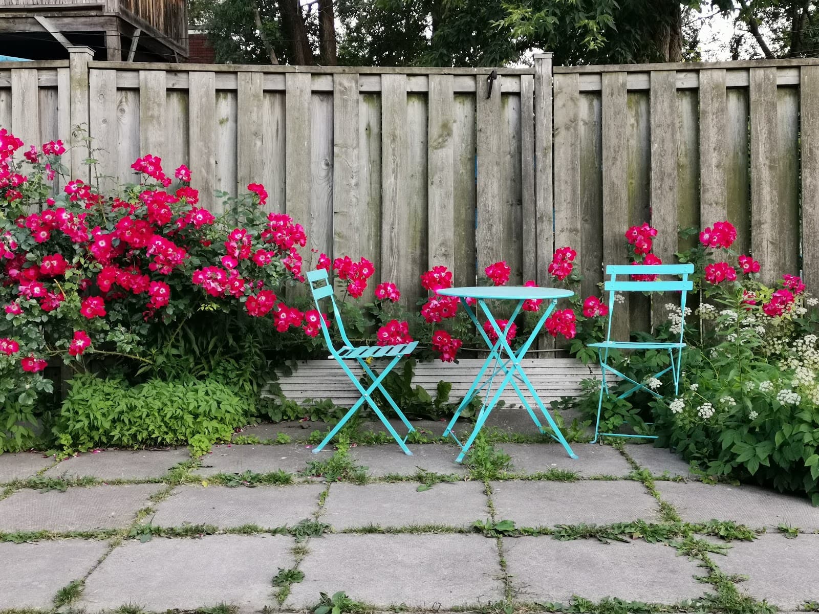 Dovercourt Park - Image 1