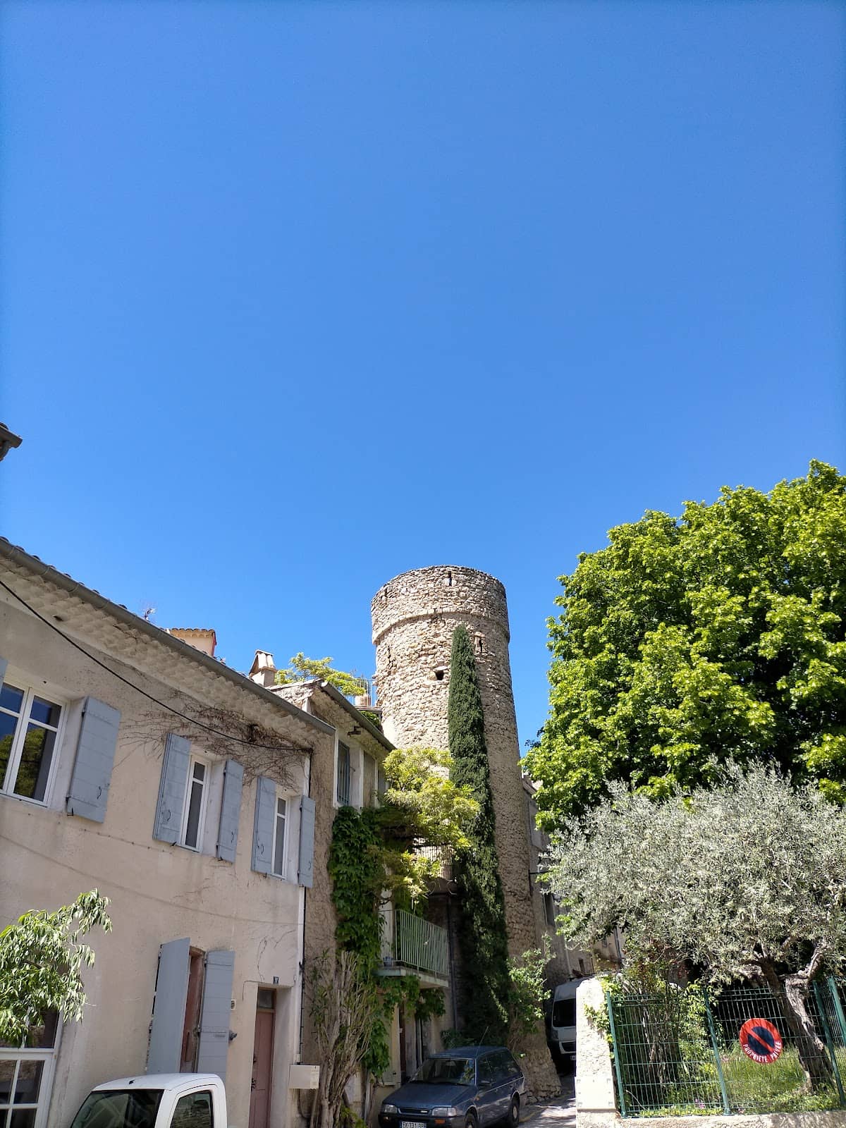 Vertical photo