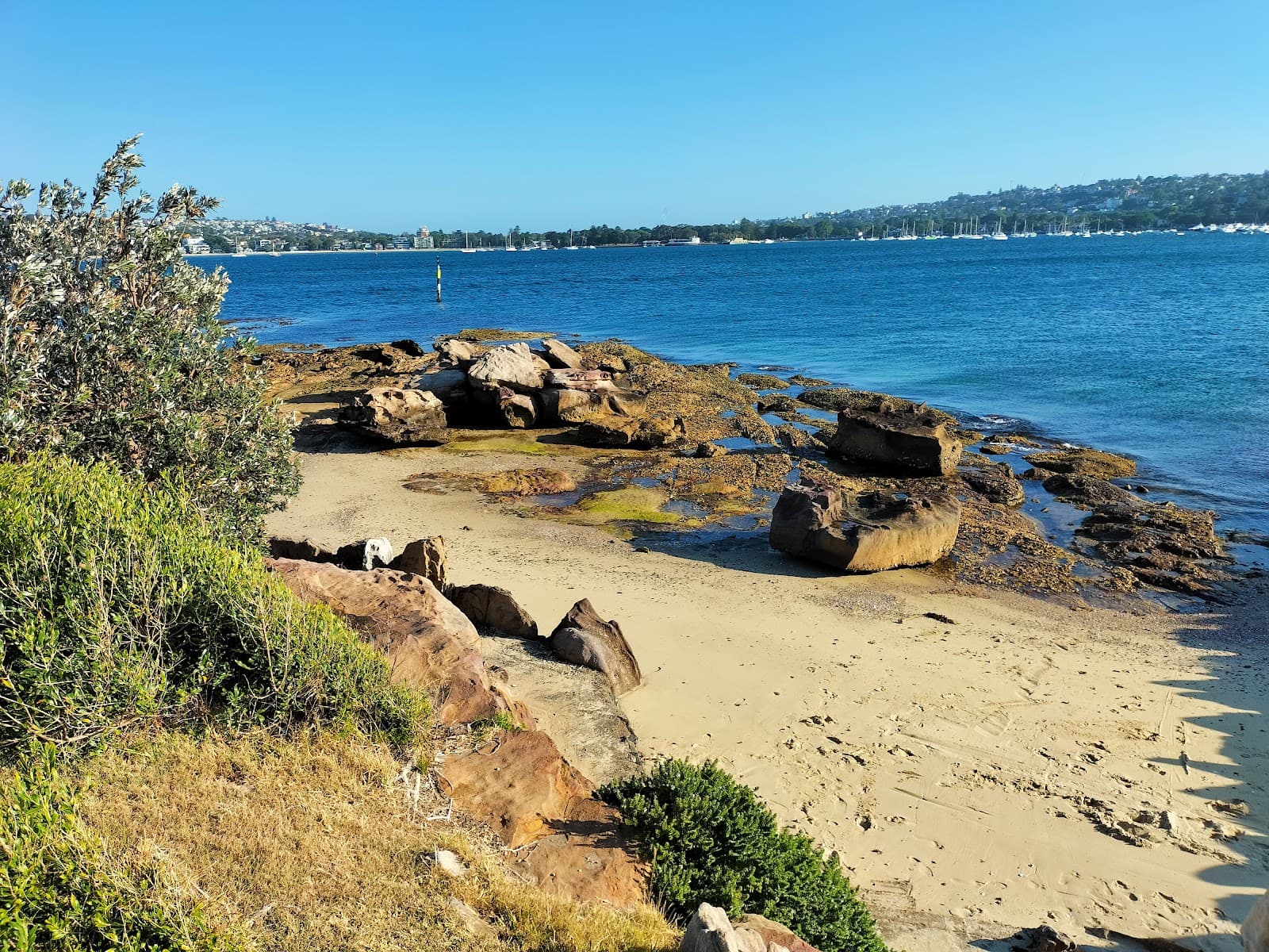 Shark Island Sydney - Image 1