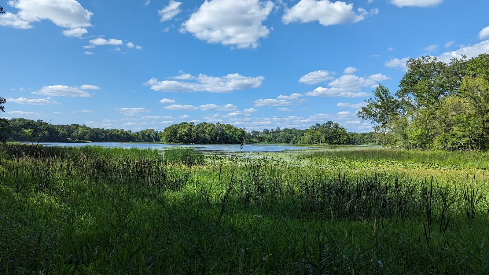 Murphy-Hanrehan Park Reserve - Image 1