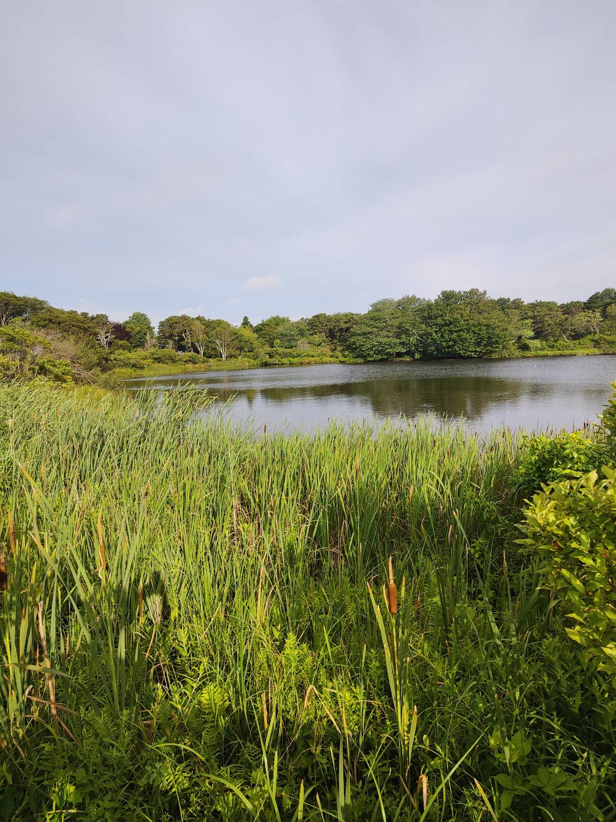 Historical Meadow Views