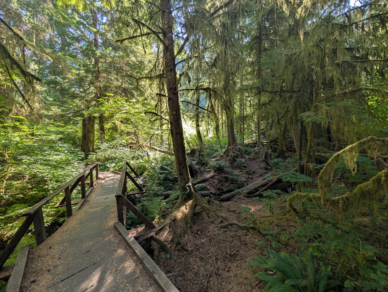 Watershed Park - Image 1