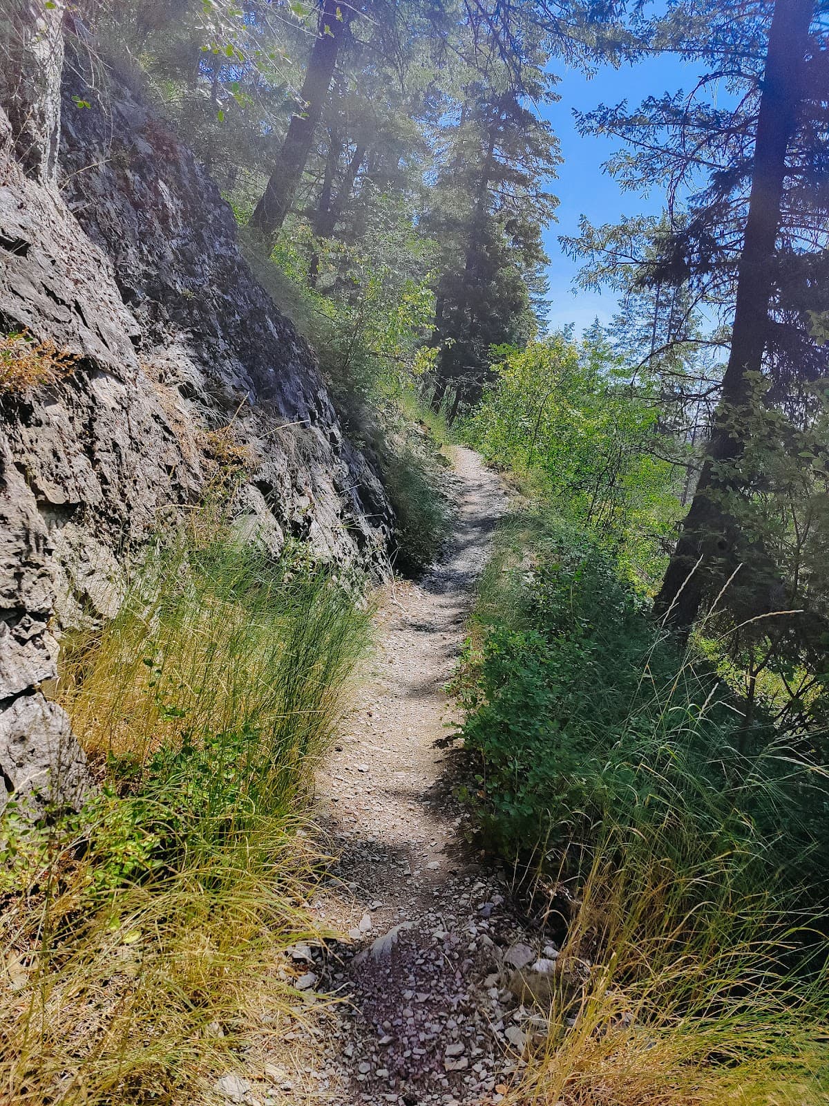 Whitefish Trail - Lion Mountain - Image 1