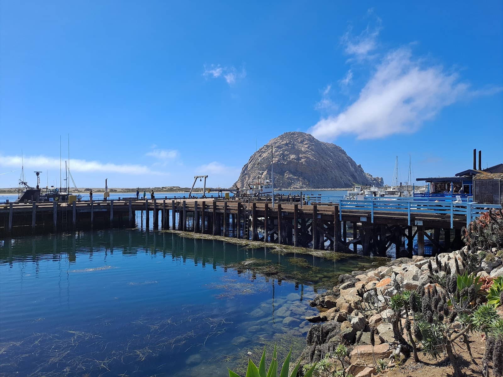 Harbor Walk & Seafood