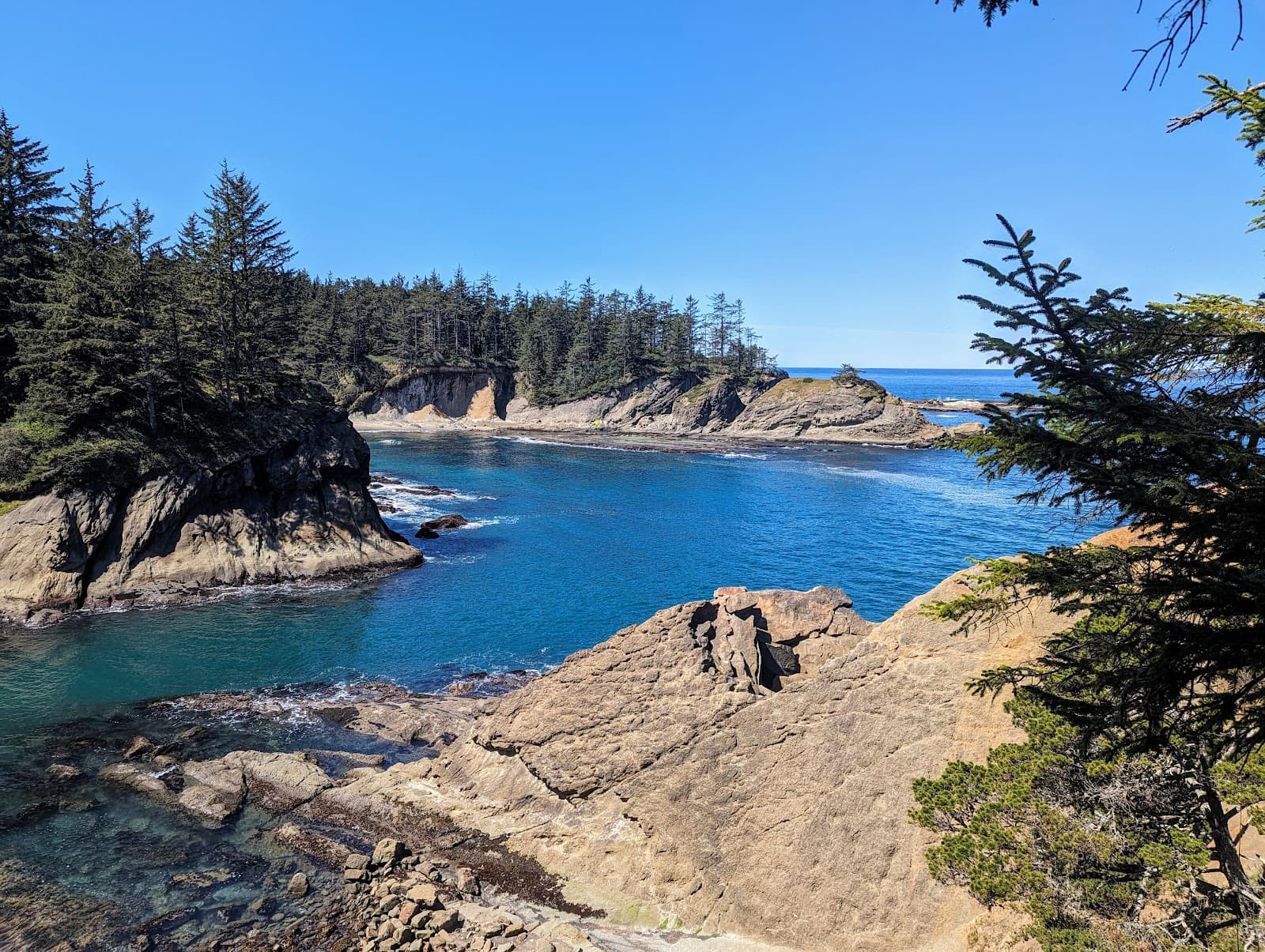 Cape Arago Pack Trail - Image 1