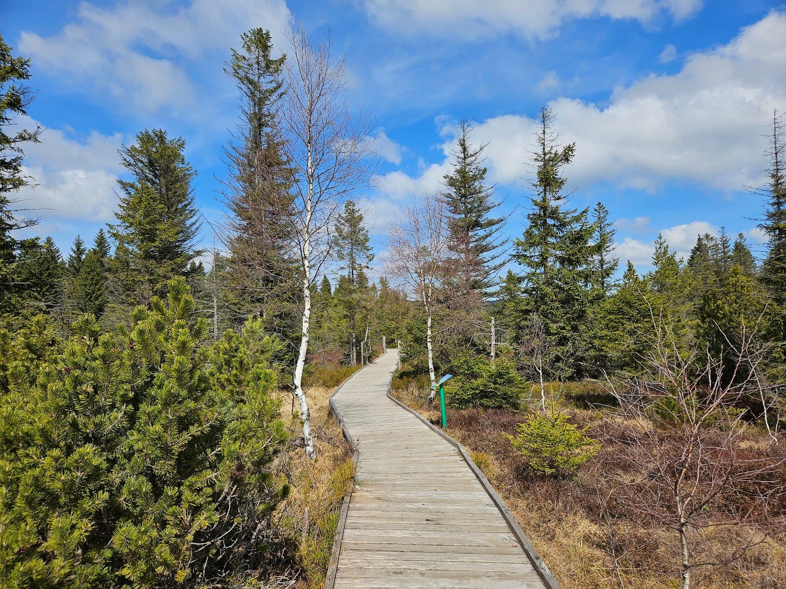 Boží Dar Peat Bog Trail - Image 1