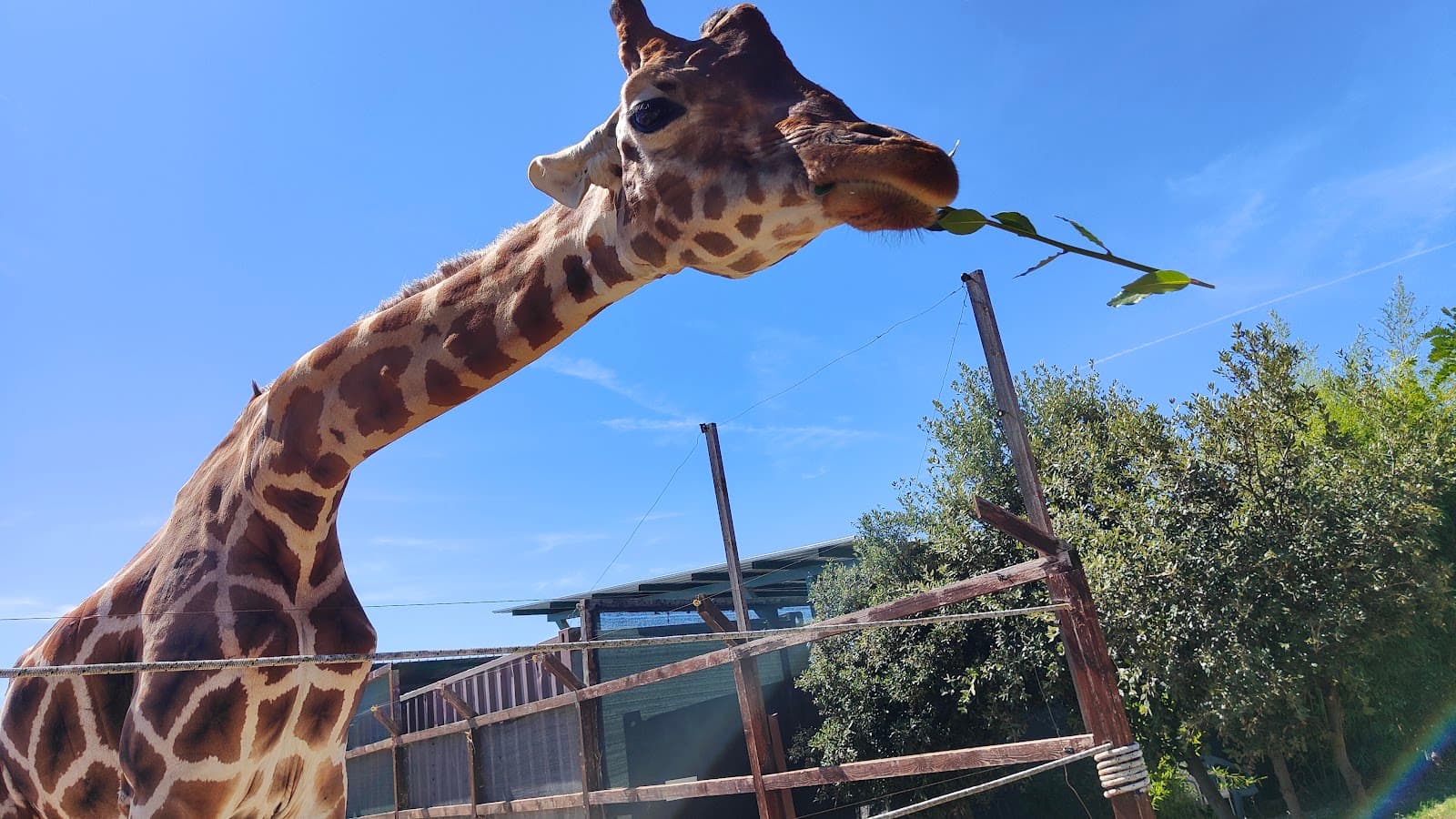 Zoo dβAbruzzo (Rocca San Giovanni) - Image 1