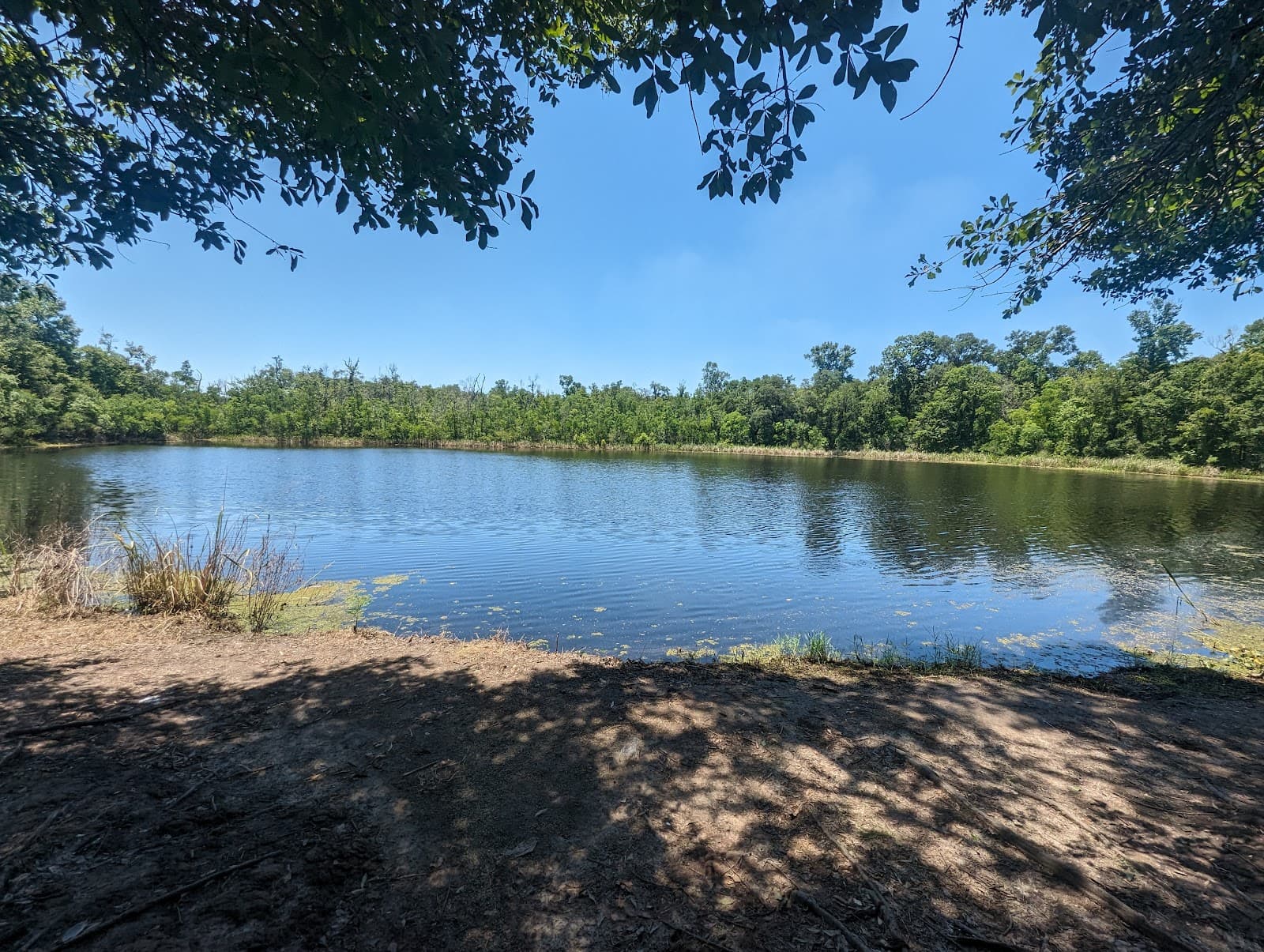 Palmetto Island State Park - Image 1
