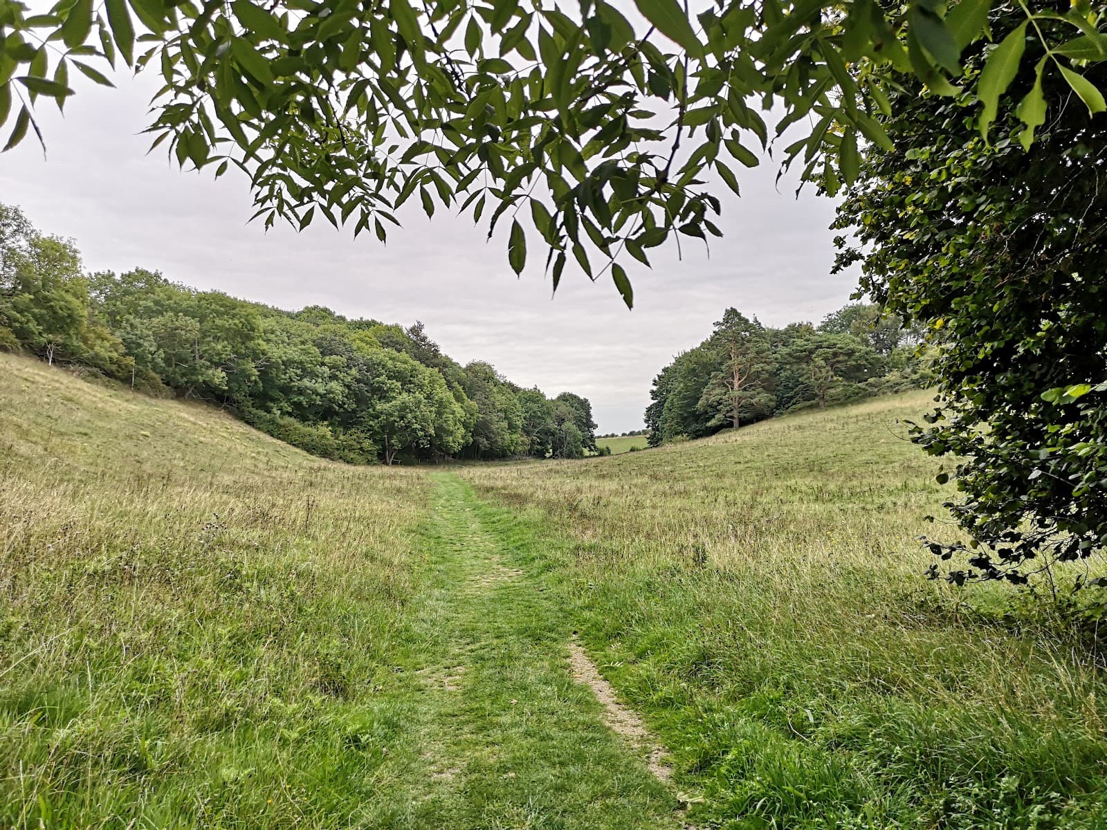 Ringstead Downs - Image 1