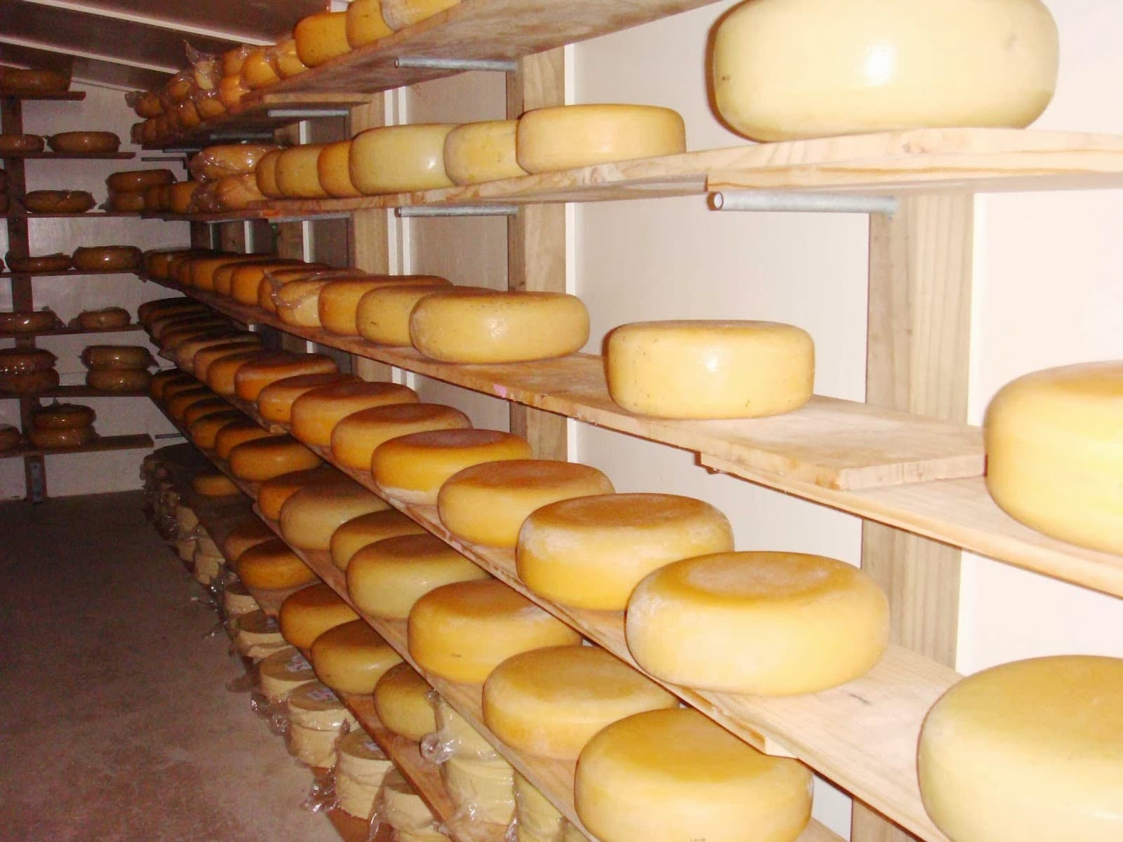 Matatoki Cheese Barn - Image 1
