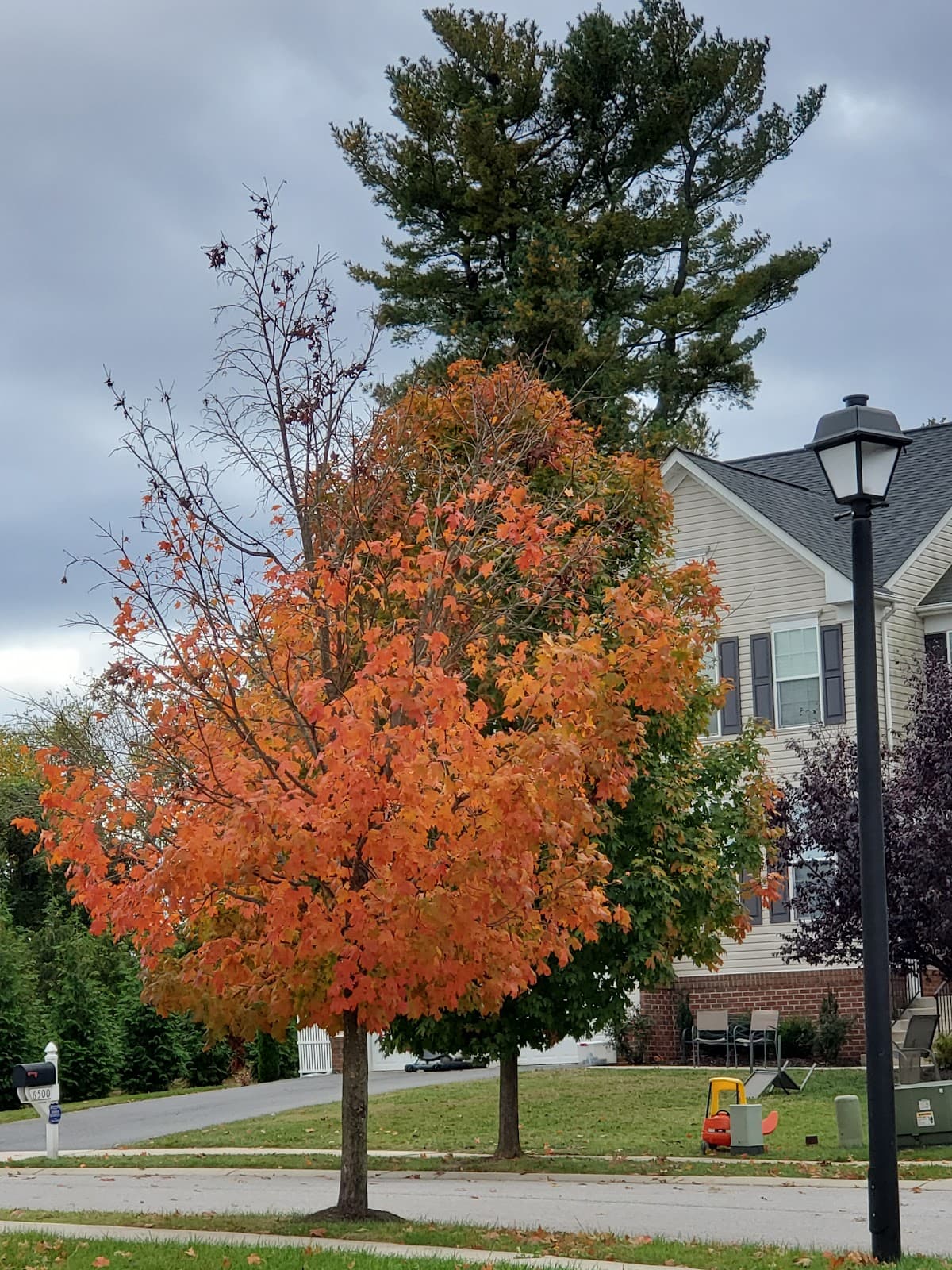 Mount Washington Village - Image 1